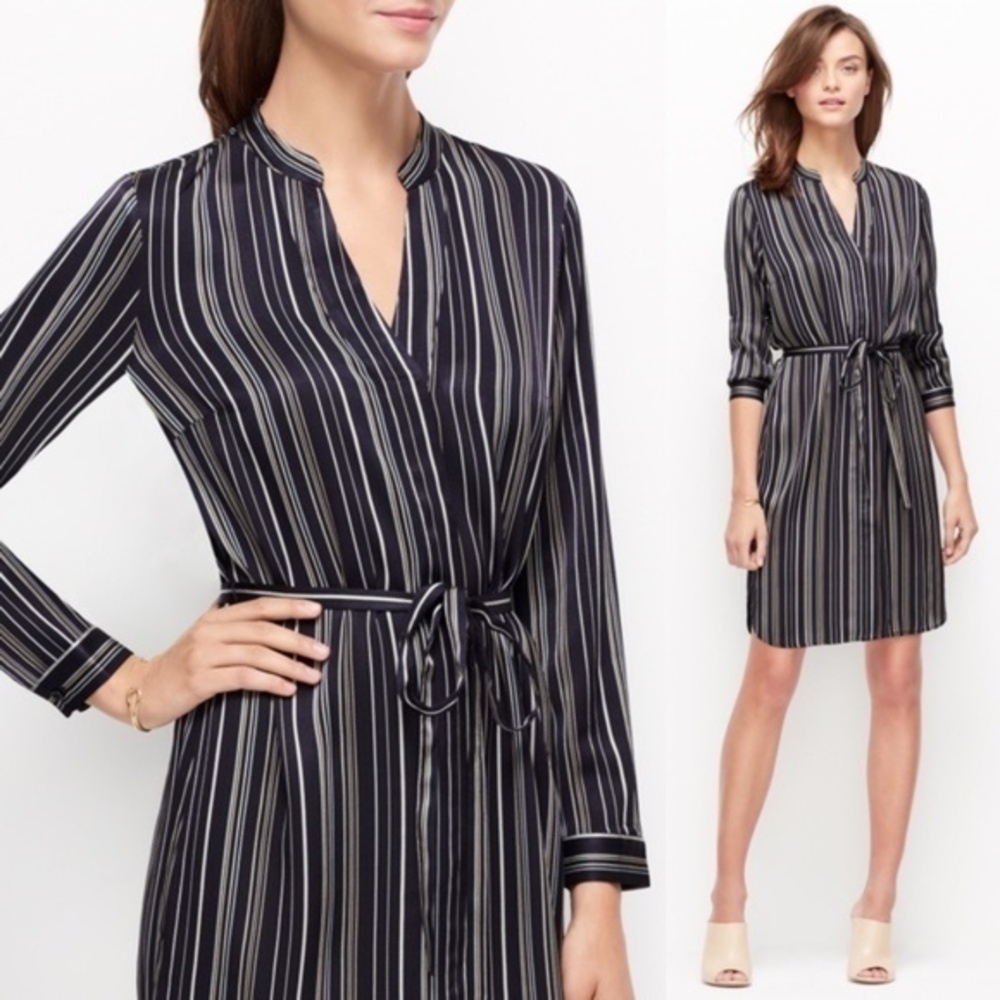 Ann Taylor Blue Fine Stripe Shirtdress M